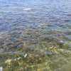 Marsala_2012 (238)